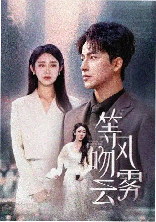电视剧 暗夜流光 2025